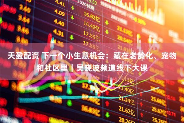天盈配资 下一个小生意机会：藏在老龄化、宠物和社区里｜吴晓波频道线下大课