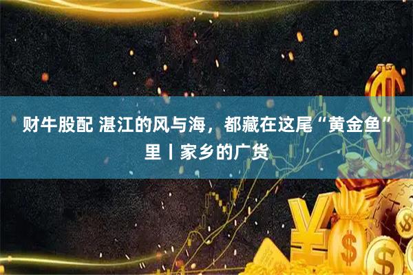 财牛股配 湛江的风与海，都藏在这尾“黄金鱼”里丨家乡的广货